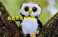 传奇发布网新开服 2022传奇发布网新开服电脑版